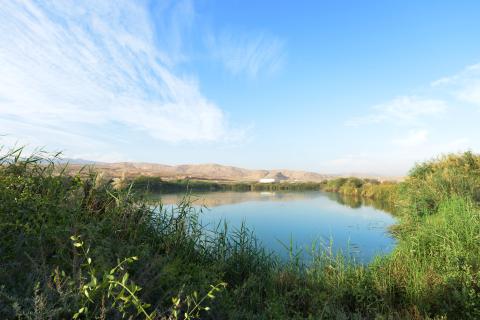Al Ansab Wetland