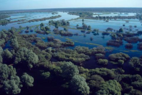Dnieper river floodplain