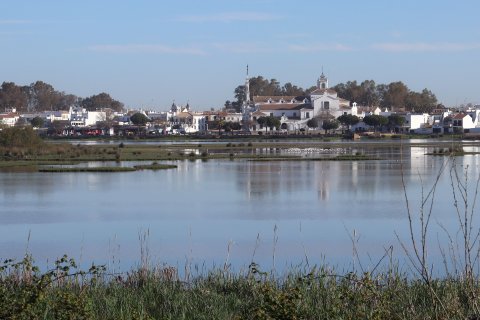 El Rocio, Doñana