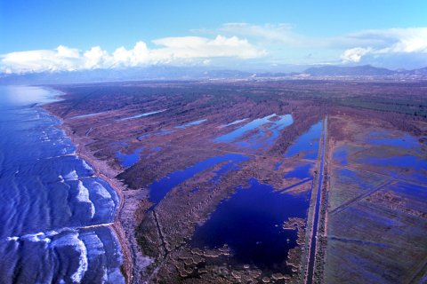 Massaciuccoli lake and marsh