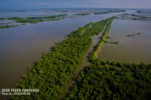 Sasmuan Pampanga Coastal Wetlands