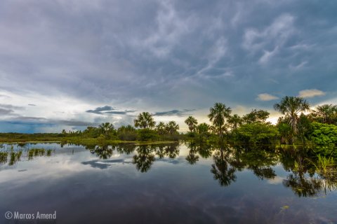 Viruá National Park