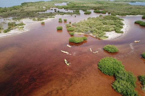 Reserva Estatal Ciénagas y Manglares de la Costa Norte de Yucatán