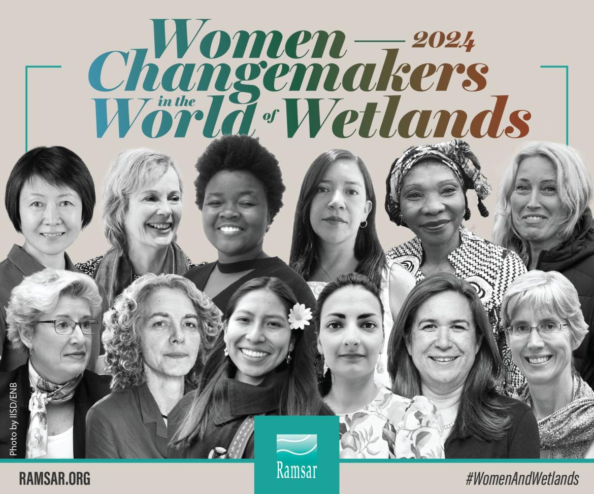 Women changemakers in the world of wetlands 