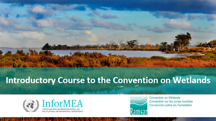 Course header