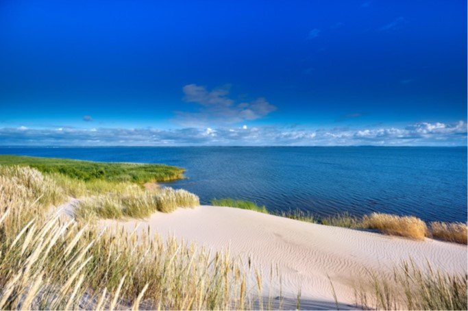 Slowinski national park