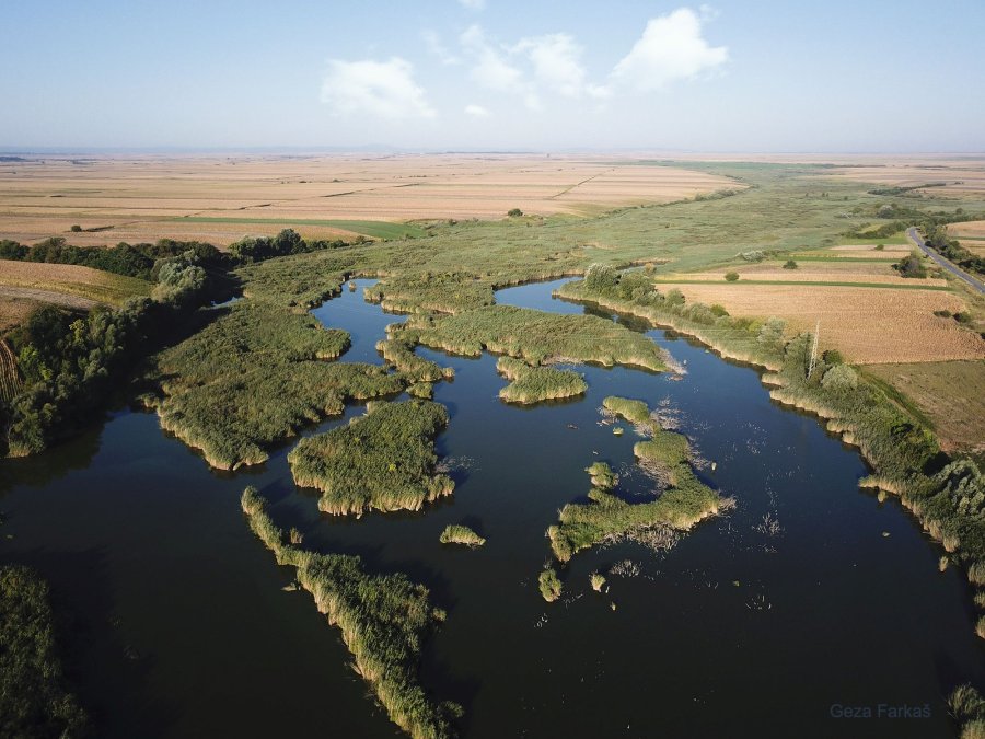 Kraljevac