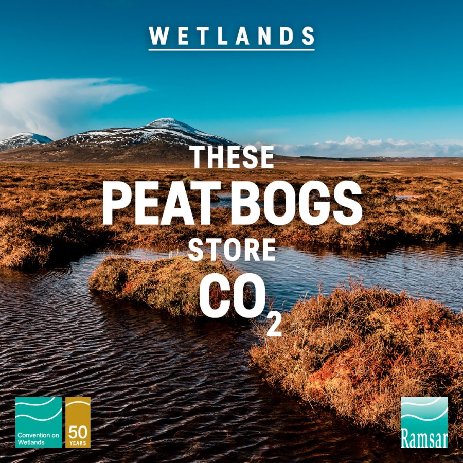 Social media tile: Peatbogs