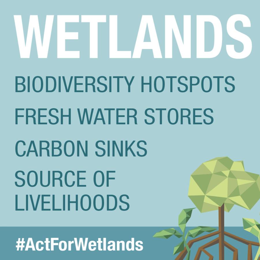 World Wetlands Day 2022: Social Media Card 