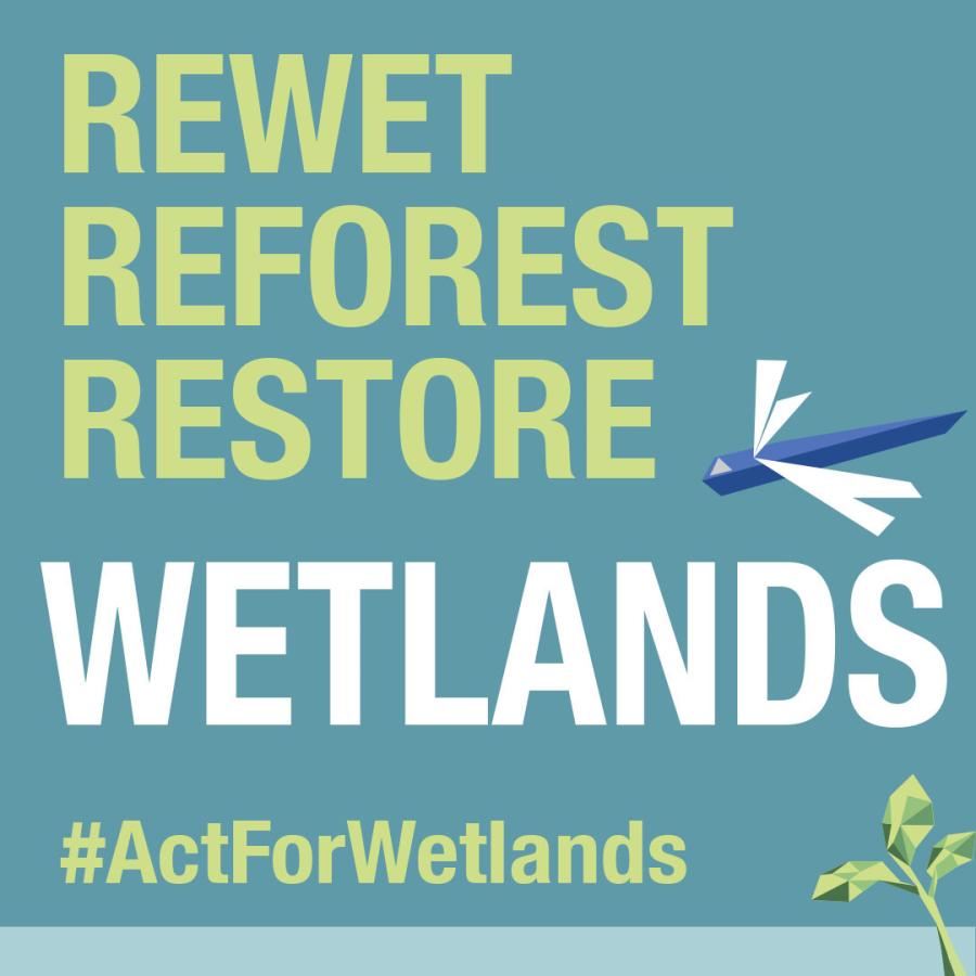 World Wetlands Day 2022: Social Media Card