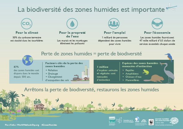 Infographie