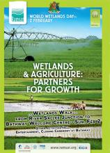 World Wetlands Day 2014 Grenada Poster