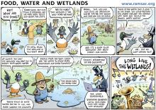 World Wetlands Day 2014 Cartoon English