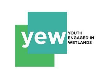 Youth Engaged in Wetlands logo