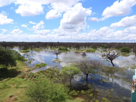 Ankasamudra Bird Conservation Reserve