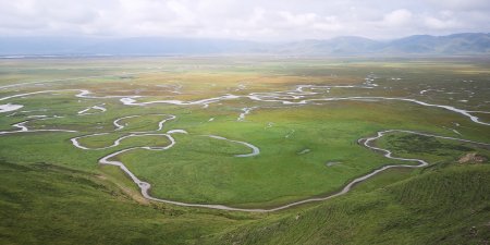 Gansu Yellow River Shouqu Wetlands