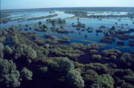 Dnieper river floodplain