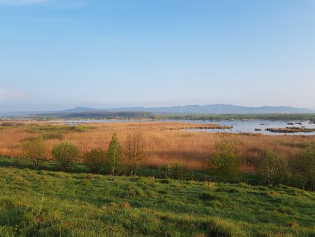 Dumbravita-Rotbav Fishpond Complex