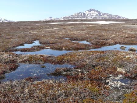 Aqajarua and Sullorsuaq Ramsar Site in Greenland (Kingdom of Denmark)