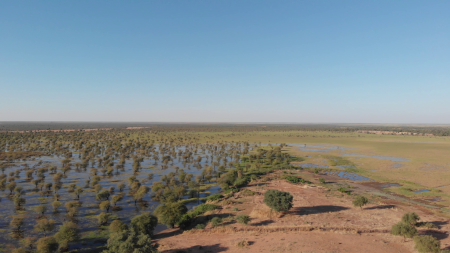 Khor Abu Habil Inner Delta