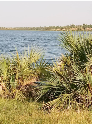 Lac de Guidimouni