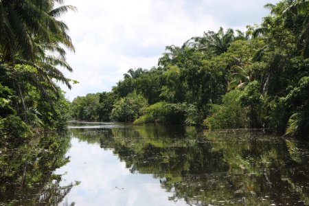 Sistema de Humedal Laguna de Alvarado