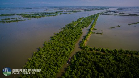 Sasmuan Pampanga Coastal Wetlands