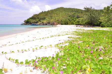 Sistema de Humedales de la Isla de Guanaja