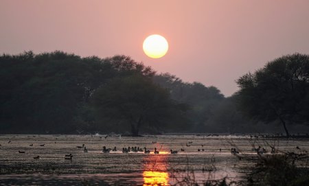 Thol Lake Wildlife Sanctuary