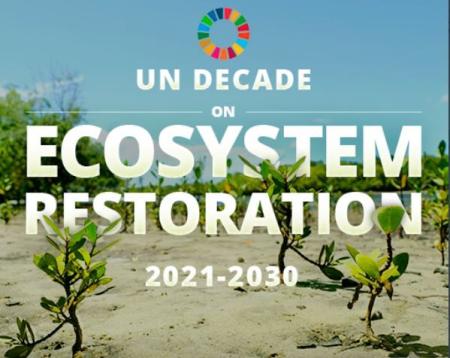 UN Decade of ecosystem restoration