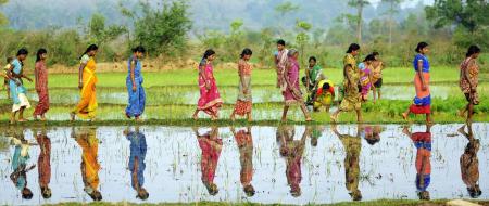  Women_working_in_their_rice_paddy_fields_in_odisha_credit_justin_kernoghan_flickr.jpg
