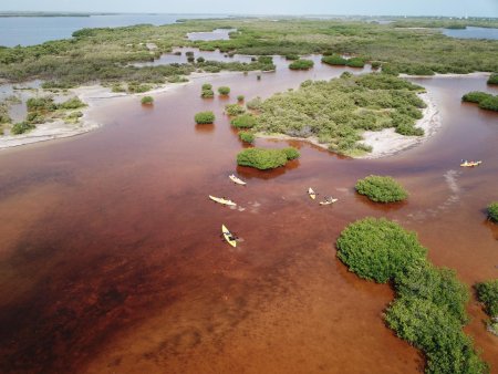 Reserva Estatal Ciénagas y Manglares de la Costa Norte de Yucatán