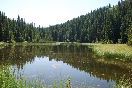 Pohorilets River Headwaters