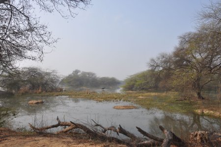 Sultanpur National Park