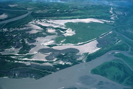 Zambezi Wetlands