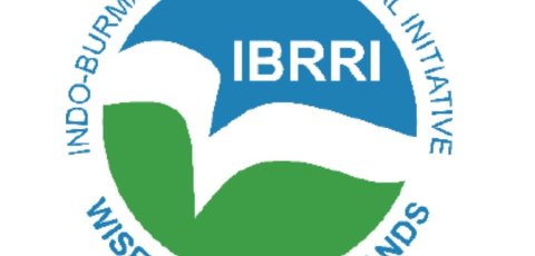IBRRI logo