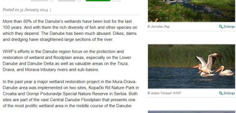 Article: "WWF celebrates Danube restoration projects"
